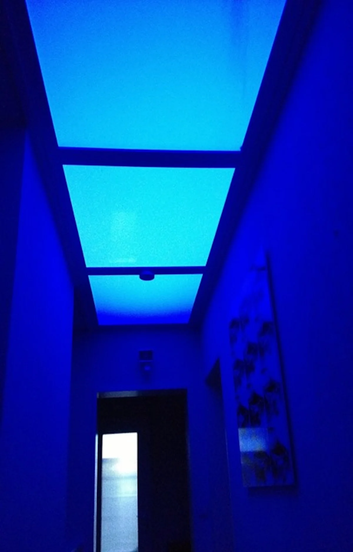 MSH Schons Deckensegel